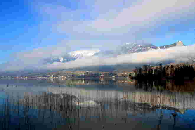 Hartnäckige Nebelwalze