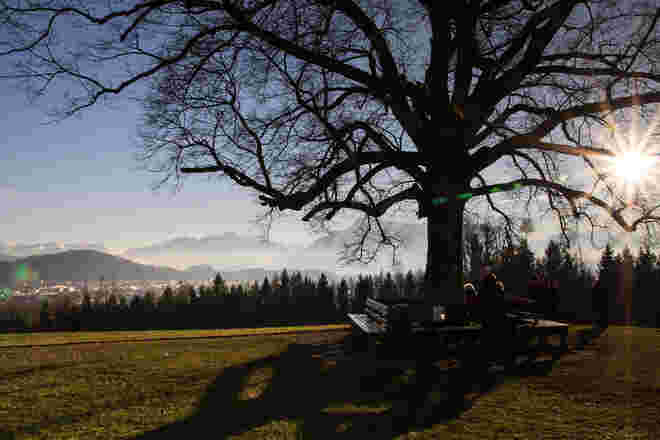 "Weihnachtsstimmung" am Plainberg
