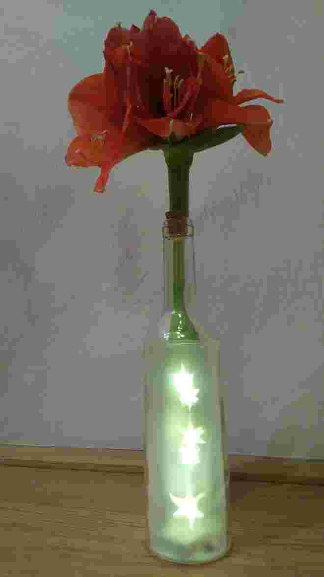 Amaryllis