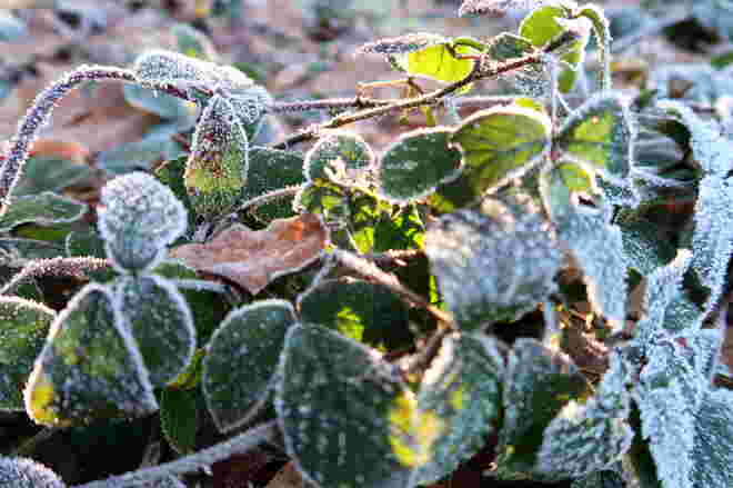 Väterchen Frost und das Sonnenlicht