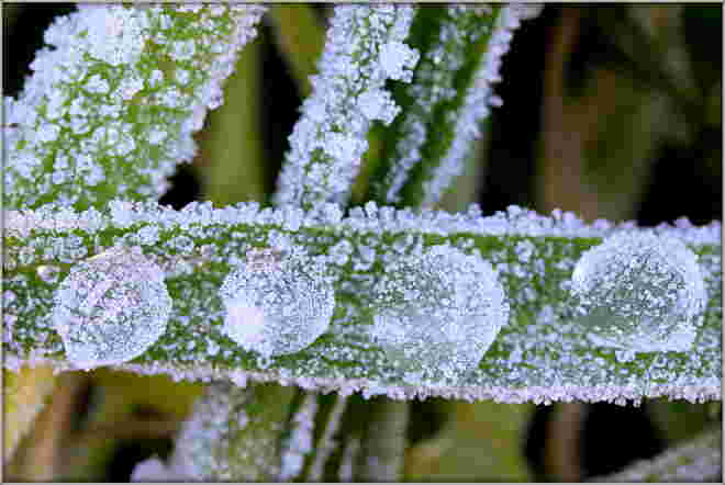 Frostbeulen ....
