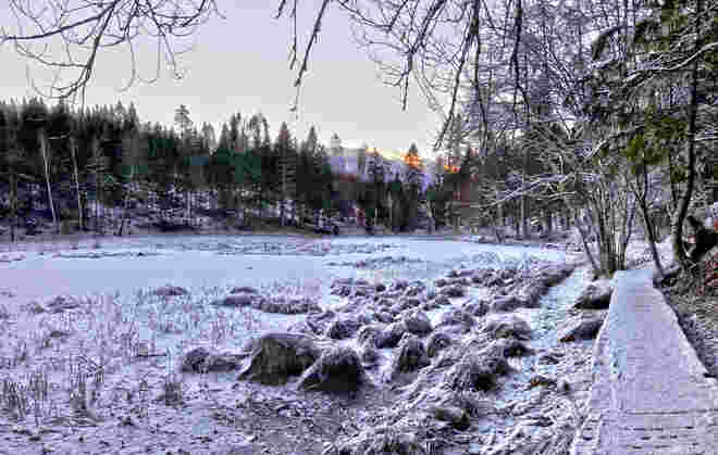 Alter See