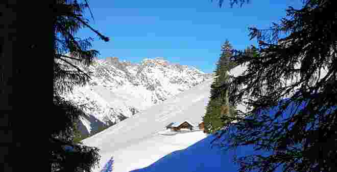 Brandleitenalm