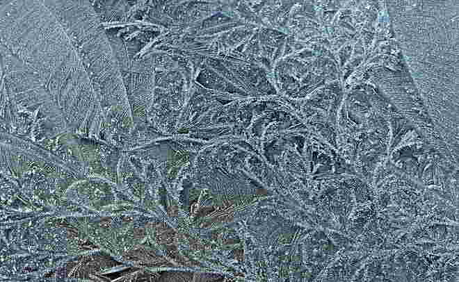 "EISBLUMEN-ORNAMENT"