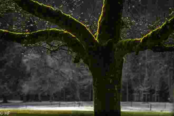 Im Hellbrunner Park