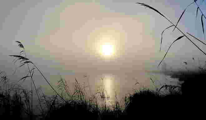 Impression am Luginger See