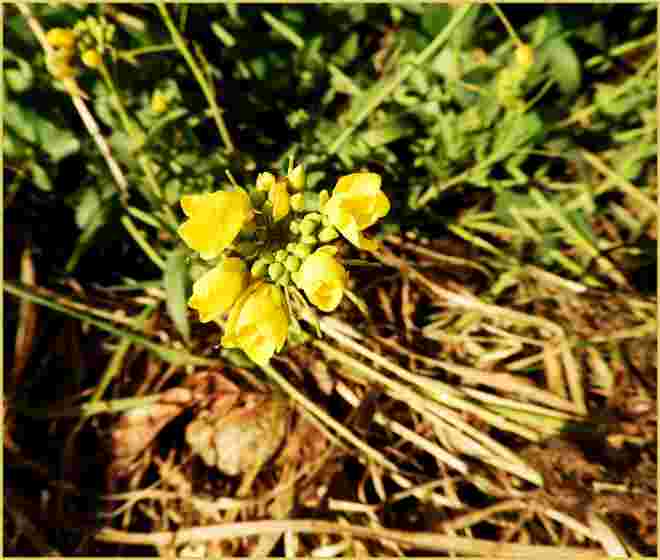 Frühlingsgefühl
