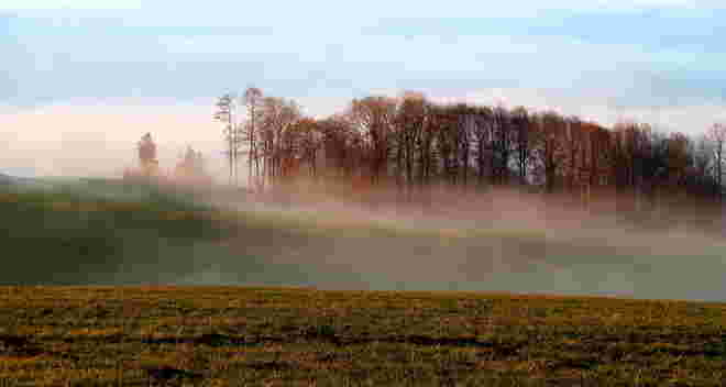 Nebelschleier über Feld und Wald