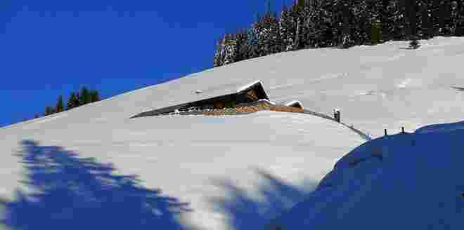 Brandleitenalm