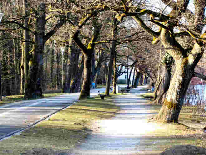am weiher