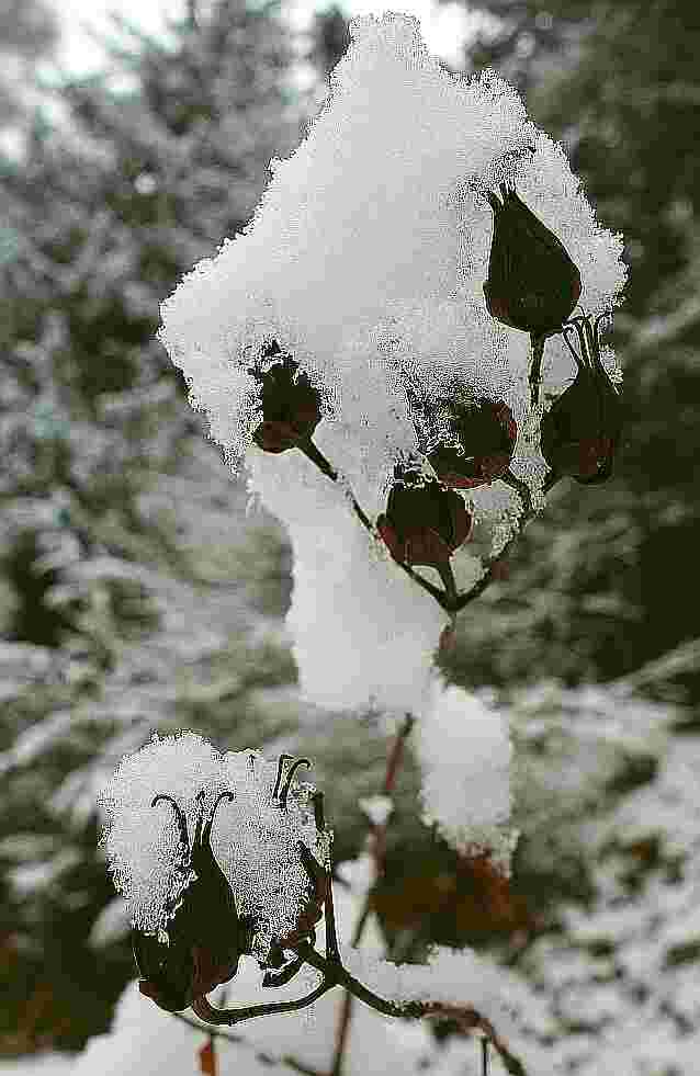 Versteckspiel