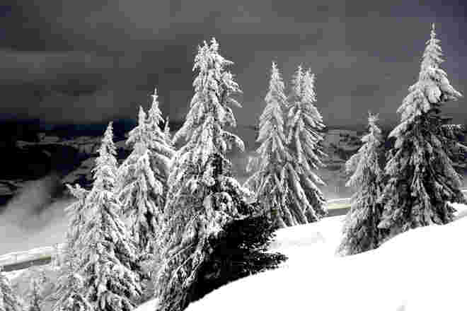 Trüber Wintertag