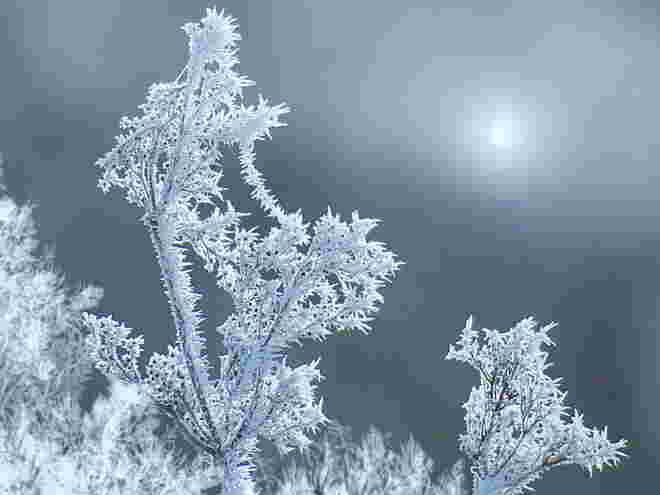 Winterkälte