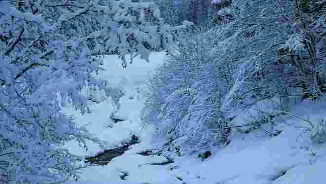 Winterimpression