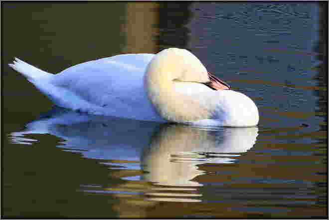 Mach mal Pause !