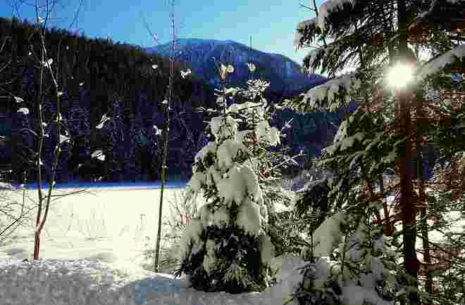 Wintereindruck