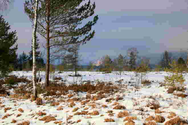 Blick übers Blinklingmoos