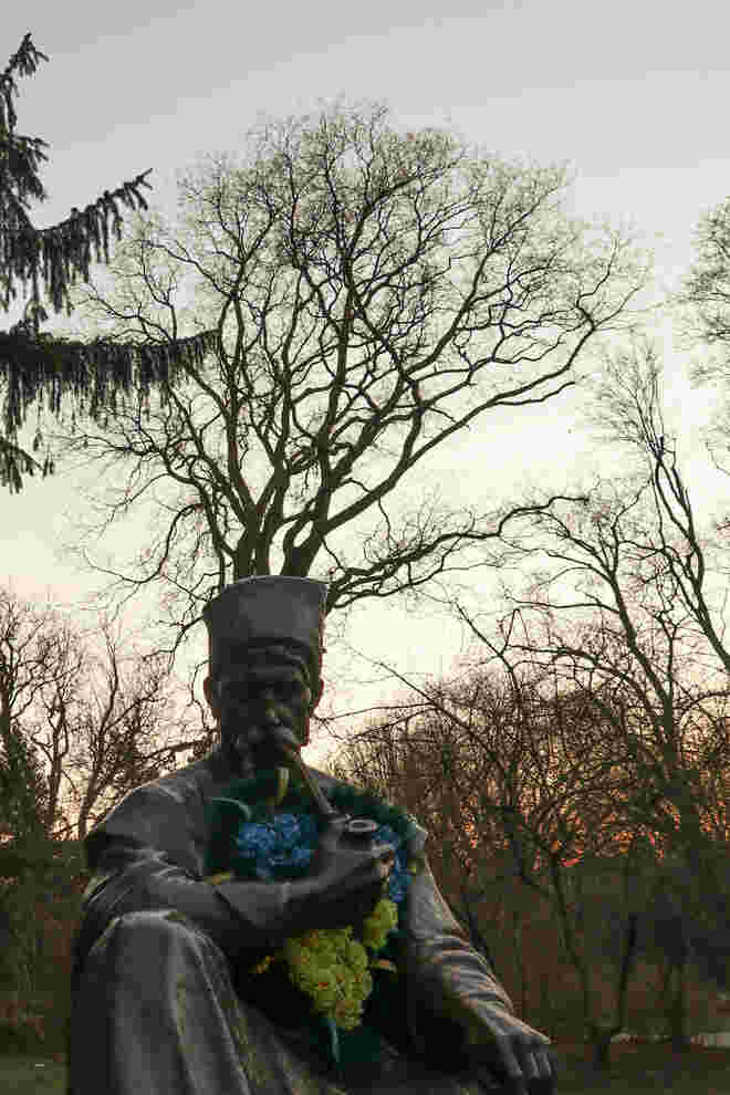 Kosake - mit Blumen in ukrainischen Farben