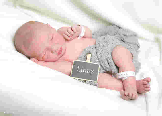 Linus