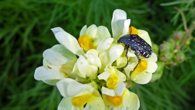 Kein Kind von Traurigkeit