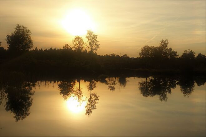 Abends im Moor....