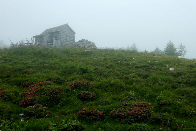An der Hochnebel-Untergrenze