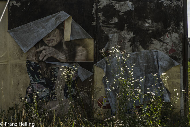 Der Straßenrand lebt  ;  )