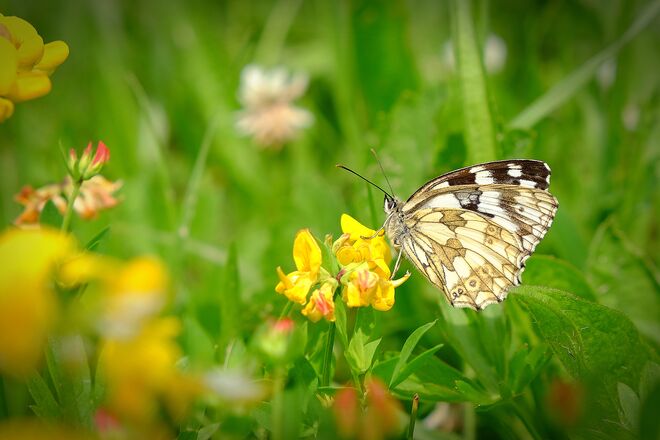 Die sommerliche Leichtigkeit des Seins 2