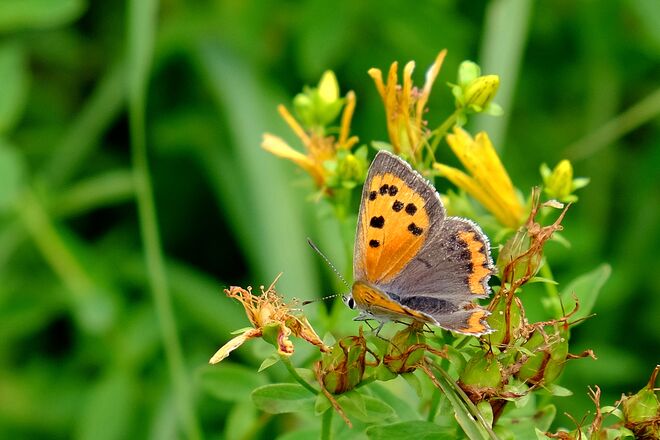 Die sommerliche Leichtigkeit des Seins 3