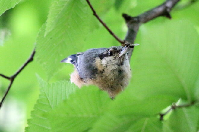 "Rast für einen kurzen Augenblick"