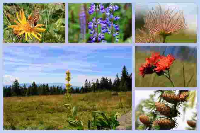 Impressionen von der Pack-Wanderung
