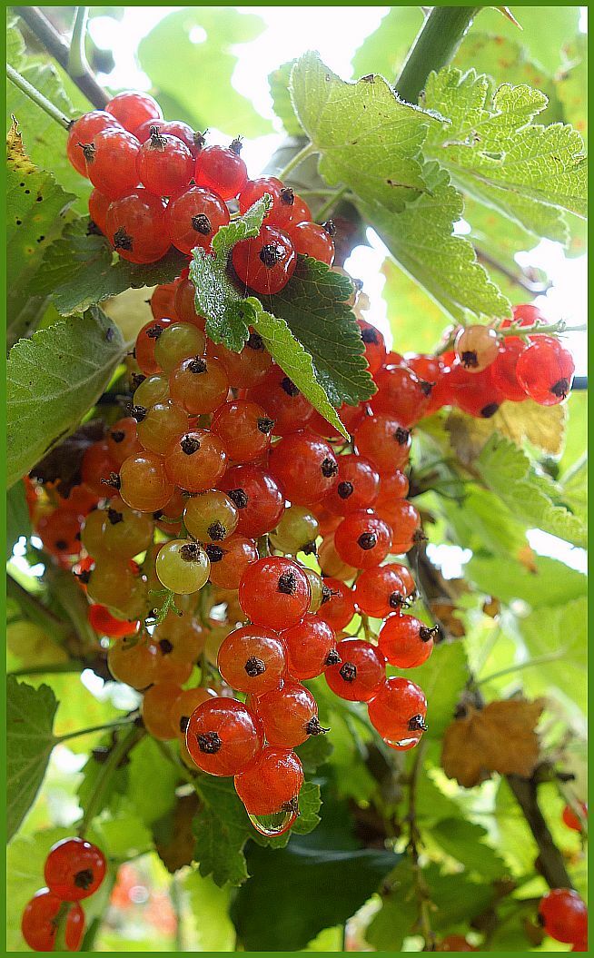 . . . noch ein Weilchen