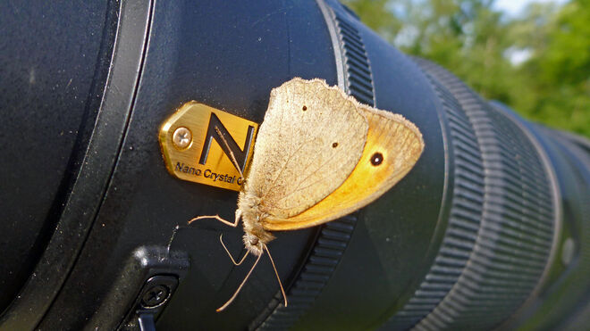 Bin ich jetzt nah genug?