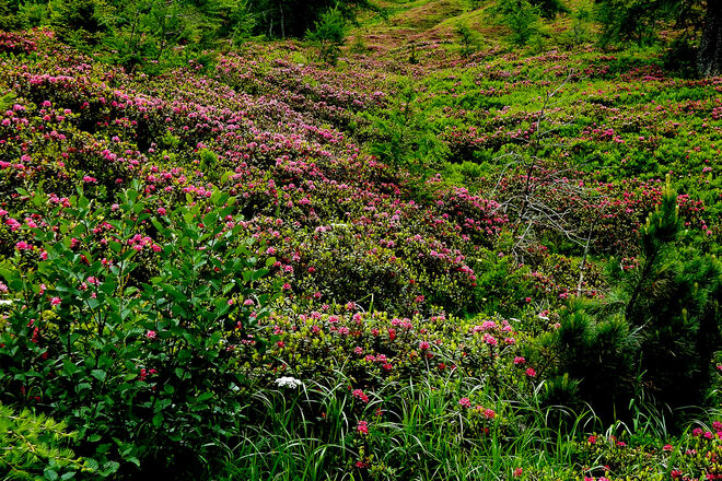 So weit das Auge reicht