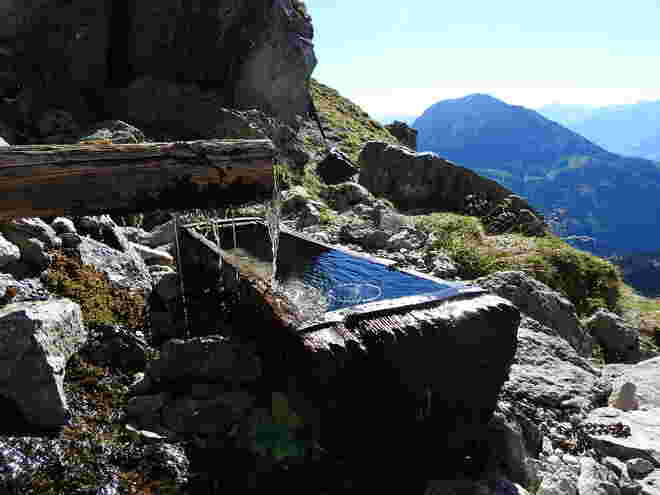 Jungbrunnen