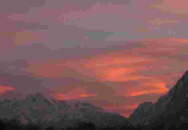 Pink Wave