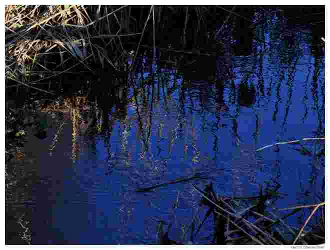 Traum in Blau