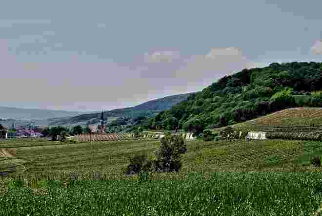 An der Thermenlinie