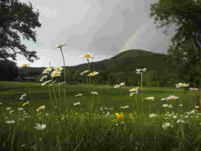 'Somewhere, over the Rainbow....'