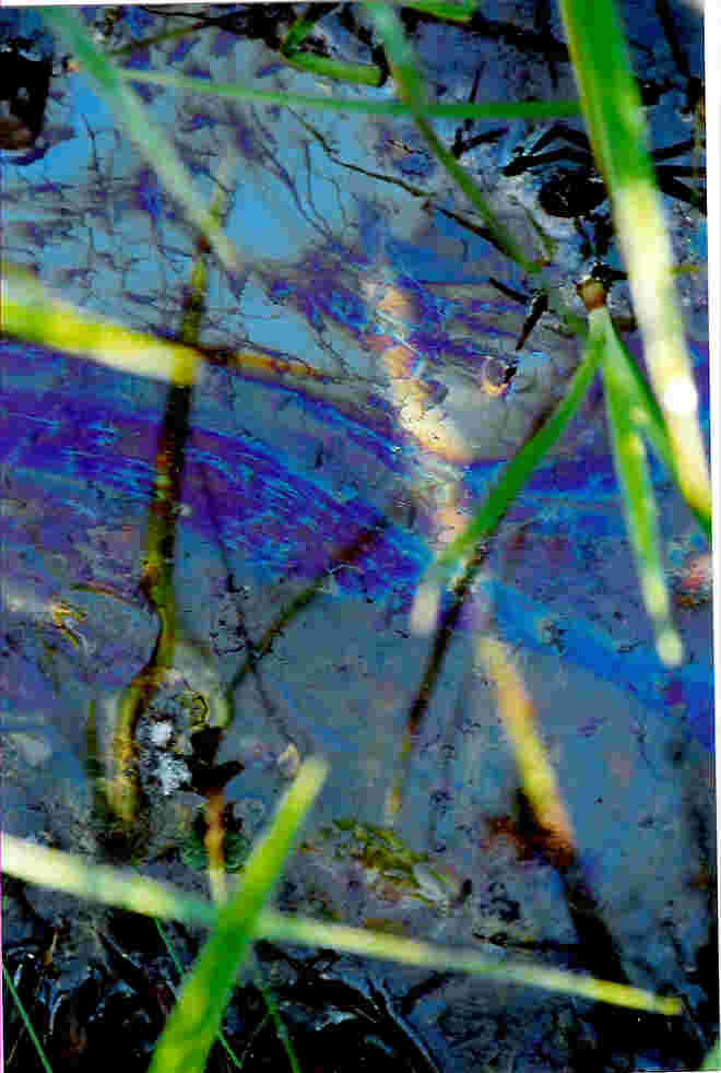 Blaues Wunder