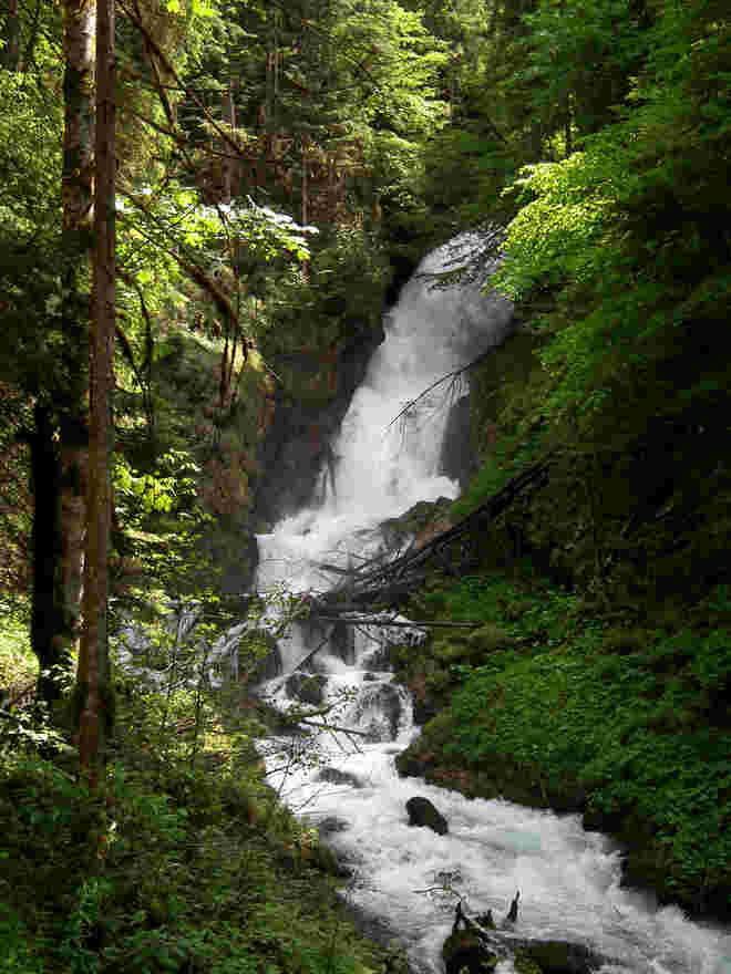 Der Schwarzbachfall