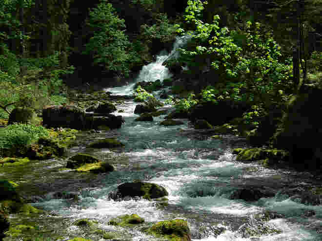 Der Schwarzenbach