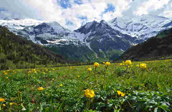 Im Ferleitental