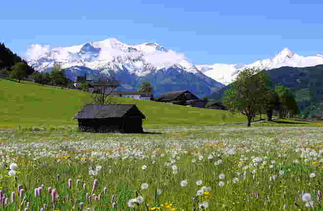 Frühling im Pinzgau