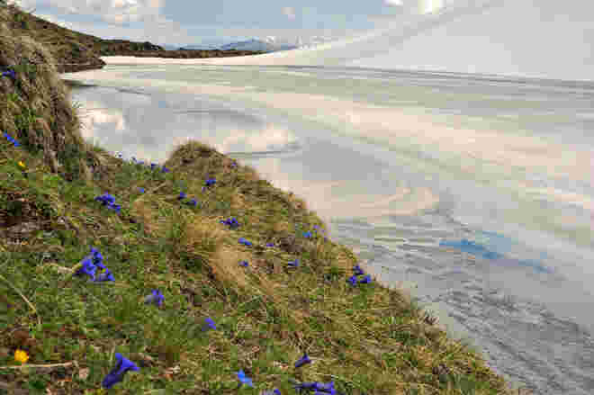 Brandlsee im Frühjahr