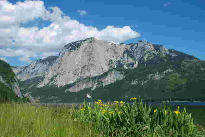 Der Nachbar vom Hausberg