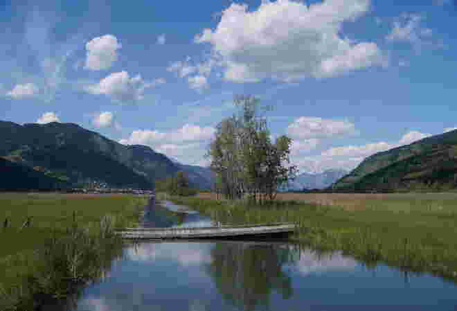 Viel Wasser im Naturschutzgebiet am Zeller See