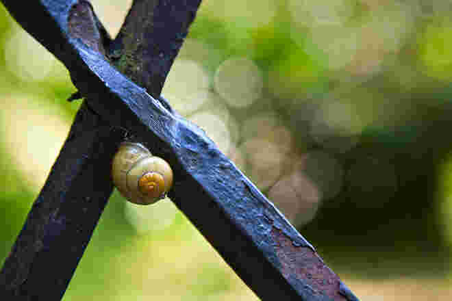 Wegkreuzung