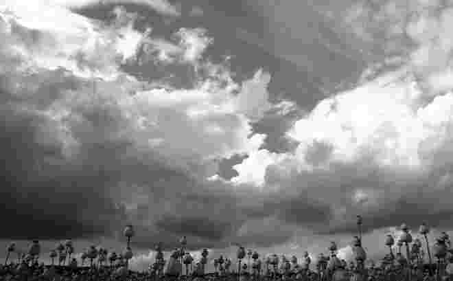 MOHNFELD IM GEWITTER
