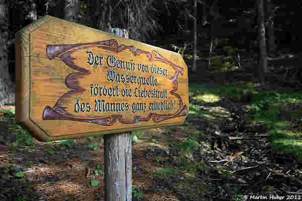 Viagra-Konkurrenz aus der Waldquelle?